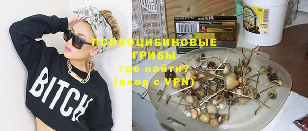 спиды Верея