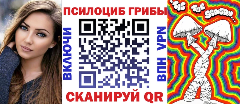 купить наркотики сайты  Альметьевск  Галлюциногенные грибы Cubensis 